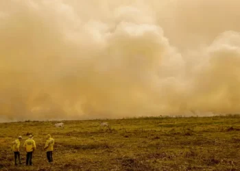 Calor já mata meio milhão de pessoas por ano, alertam cientistas