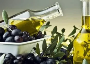 Olivum prevê produção de 160 mil a 170 mil toneladas de azeite