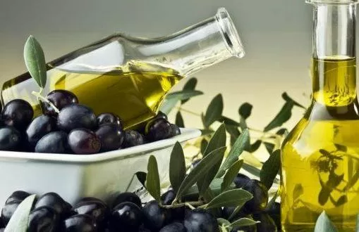 Olivum prevê produção de 160 mil a 170 mil toneladas de azeite