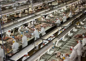 Indústria acumula sete meses de queda: preços recuam 0,20% em agosto