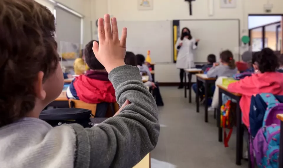 Câmara de Lisboa recua na decisão de limitar escolha por refeições vegetarianas nas escolas