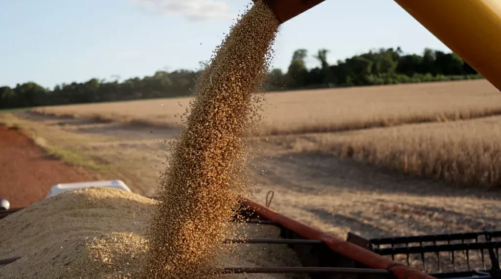 China comprará 12 milhões de toneladas de soja dos EUA ainda este ano