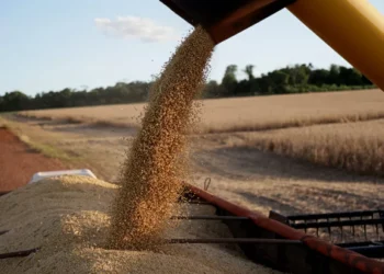 China comprará 12 milhões de toneladas de soja dos EUA ainda este ano