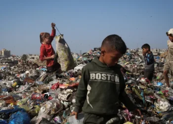 ONU alerta que ‘sobrevivência de Gaza está em jogo’