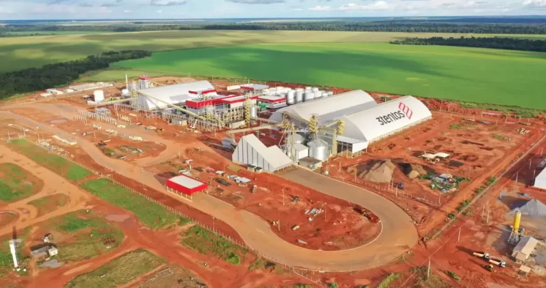 3tentos investe R$ 60 milhões para processamento de canola no RS