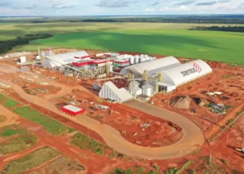 3tentos investe R$ 60 milhões para processamento de canola no RS