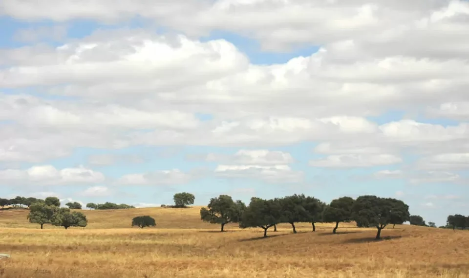 Comissão Europeia aprova reprogramação do Programa Regional Alentejo 2030