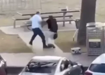 Saiba quem é o homem que desarmou um dos atiradores de ataque na Austrália