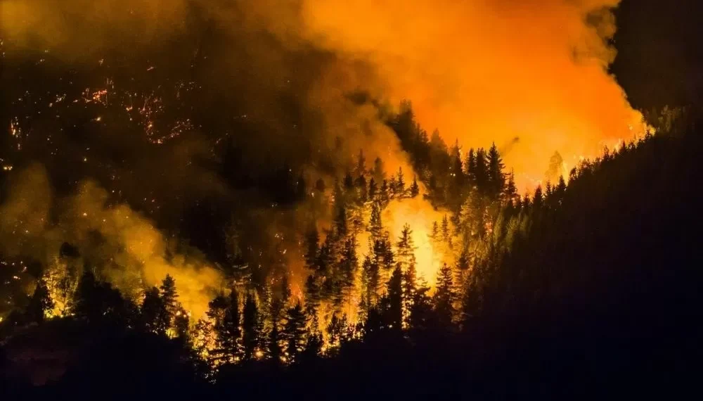 Incêndio florestal atinge Patagônia argentina e consome mais de 5.500 hectares