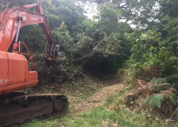 Ministério da Agricultura lança apoio de 12,1 milhões de euros para compra de máquinas para gestão florestal