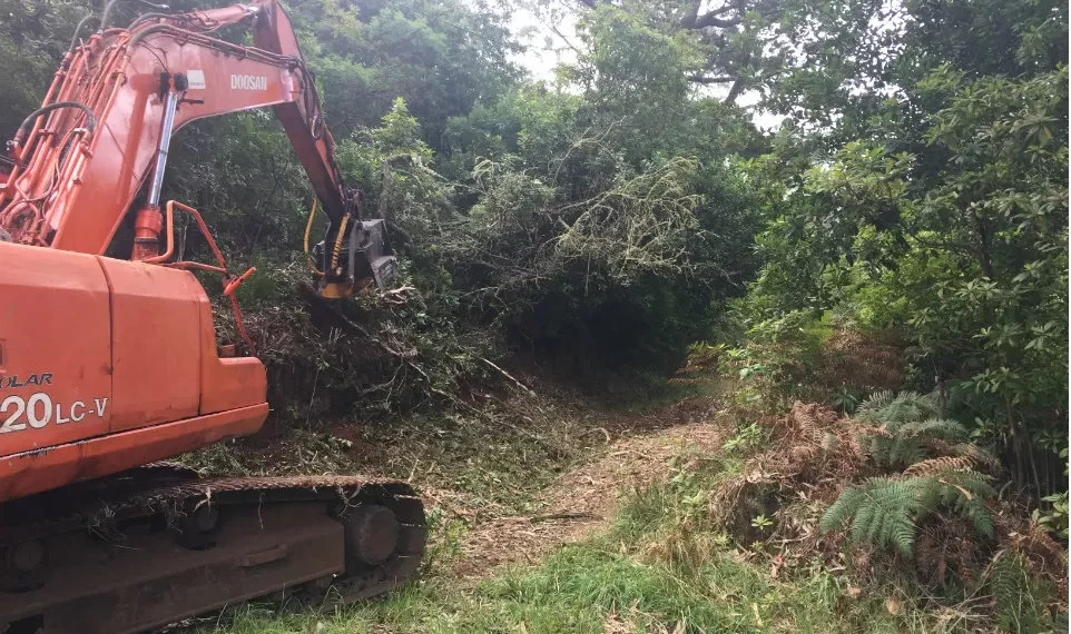Ministério da Agricultura lança apoio de 12,1 milhões de euros para compra de máquinas para gestão florestal