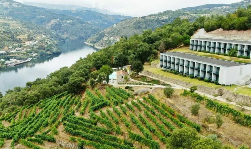 CIM Douro aprova quase 20 milhões de euros de investimento para apoio às empresas da região