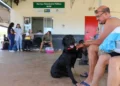 Falta de médicos no Hospital Veterinário Público do DF impacta atendimento a animais abandonados e famílias vulneráveis