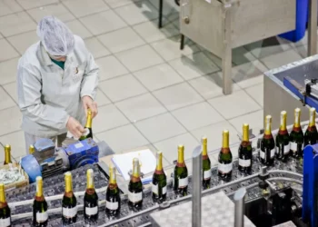 Como a indústria vinícola do Brasil recebeu o acordo Mercosul–UE