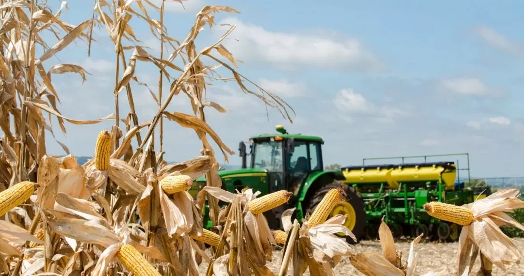 PIB gaúcho avança 4,5% no terceiro trimestre