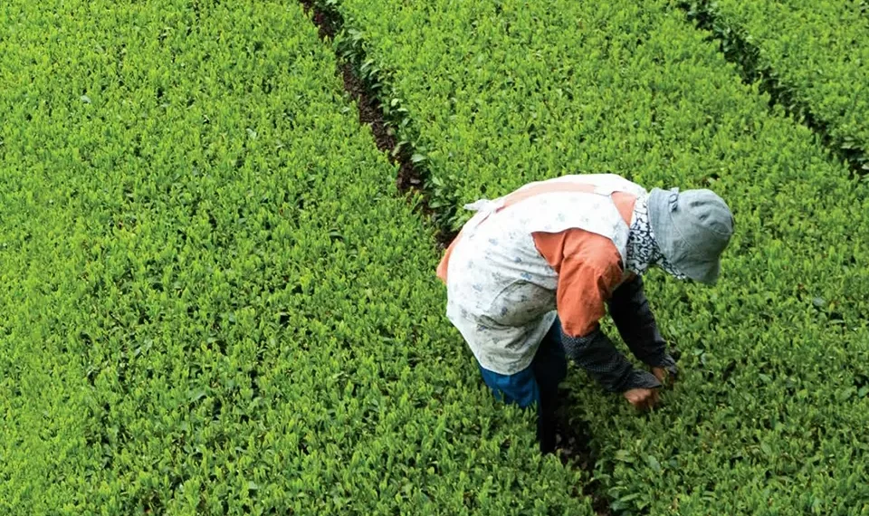 “Ameaça” e “concorrência desleal”: Confragi teme efeito do acordo da Mercosul