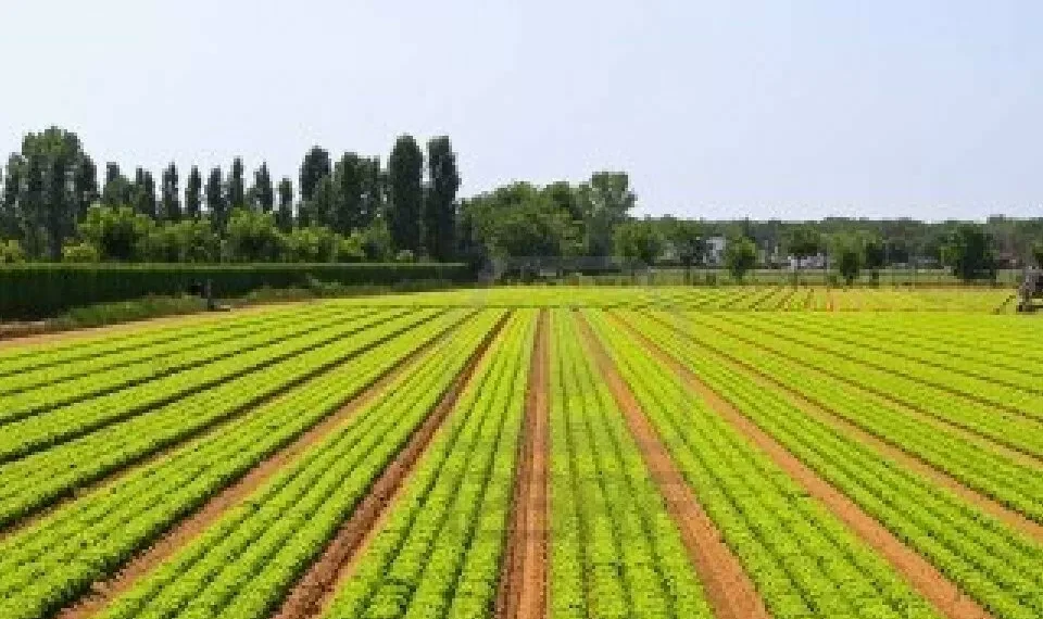 Tempestades: AJAP exige solidariedade política e apoios imediatos