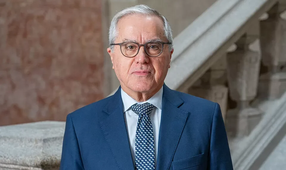 Mau tempo: prejuízos na agricultura na ordem dos 130 milhões, diz CAP