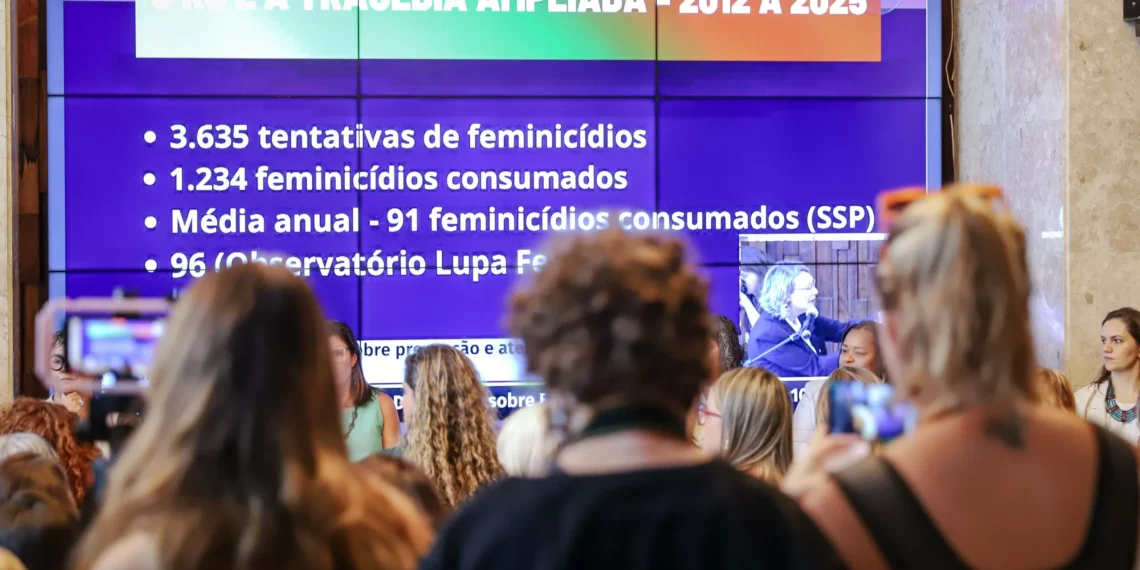Comissão externa aponta falhas estruturais e cobra políticas públicas para conter feminicídios no RS