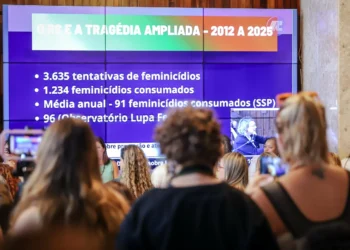 Comissão externa aponta falhas estruturais e cobra políticas públicas para conter feminicídios no RS