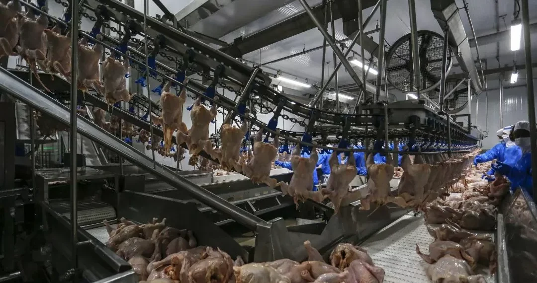 Brasil regulamentará salvaguardas em acordos comerciais