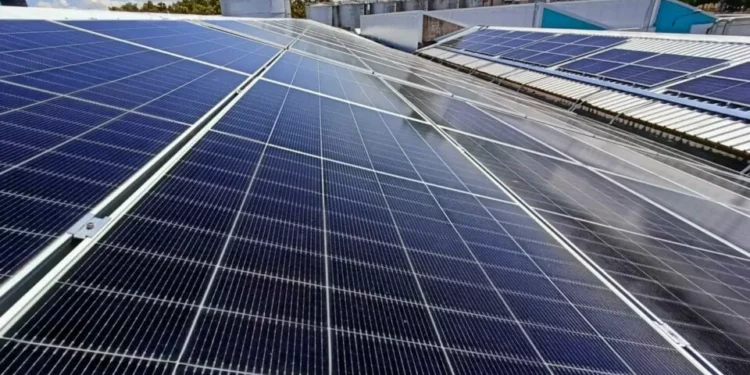 GEOTA quer “ação imediata” em Lisboa para executar o contrato climático e o reforço da transição energética