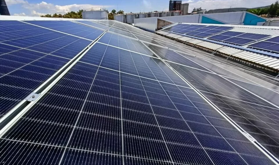 GEOTA quer “ação imediata” em Lisboa para executar o contrato climático e o reforço da transição energética